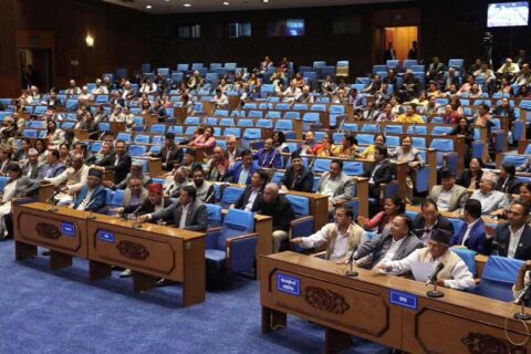प्रतिनिधिसभाबाट संघीय निजामती सेवा विधेयक पारित
