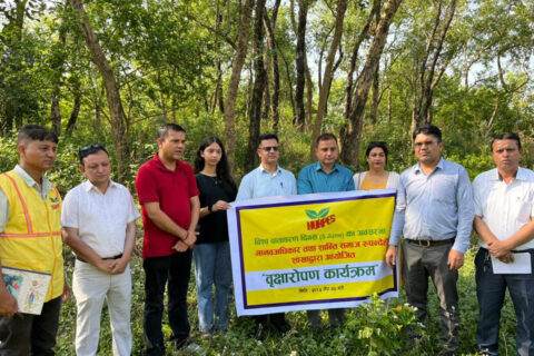 विश्व वातावरण दिवसमा शान्ति समाज रुपन्देहीद्वारा वृक्षरोपण