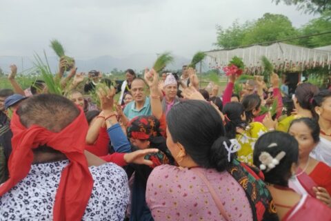 उपमहानगरपालिकाले उत्सवकै रूपमा मनायो धान दिवस