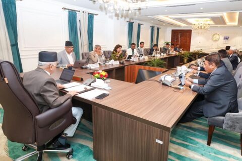 भिजिट भिसा प्रकरणमा उच्चस्तरीय छानबिन समिति गठन
