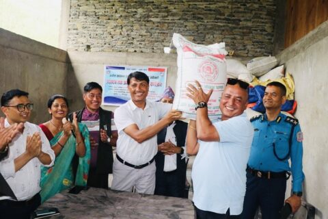 गुल्मीमा पहिलो पटक स्थानीय धानको चामल बजारमा