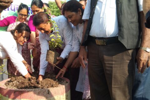 बृहत वृक्षारोपण सप्ताह अन्तर्गत तिलोत्तमा तीनमा वृक्षारोपण कार्यक्रम