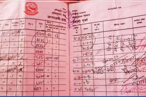 नक्कली लालपुर्जा बनाएको आरोपमा मालपोतका पाँच जना कर्मचारी विरुद्ध मुद्दा दायर