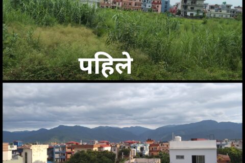 प्लटिङ्ले  मासिदैँ खेतीयोग्य जमिन