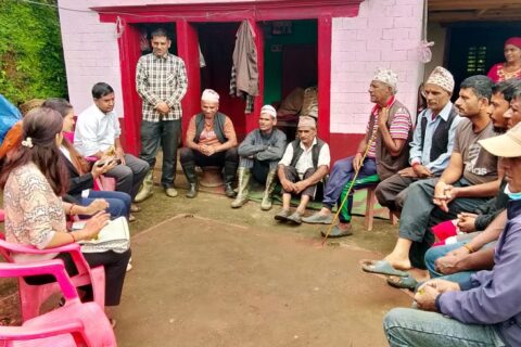 सुन्तलाका दाना झर्न थालेपछि अर्घाखाँचीका किसान चिन्तित