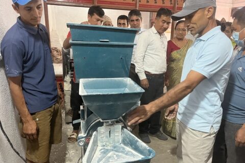 गुल्मीको मुसिकोटमा मकैको आटोको ब्राण्डिङ र बजारीकरण शुरू
