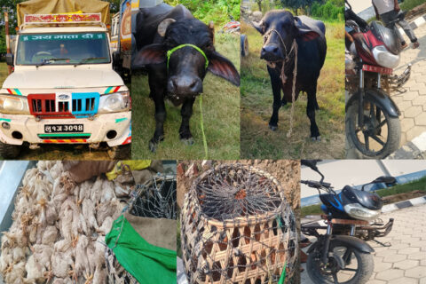 रुपन्देही प्रहरीले गर्यो साढे १० लाख मूल्य बराबरको सामान बरामद