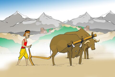 किसान सूचीकरण कार्यक्रम अन्तर्गत २३ लाख ८० हजार किसान सूचीकृत