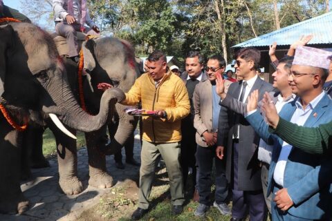 रुद्रकली र खगेन्द्रप्रसाद भैरहवा पुगे :भोलि कतार पठाइने