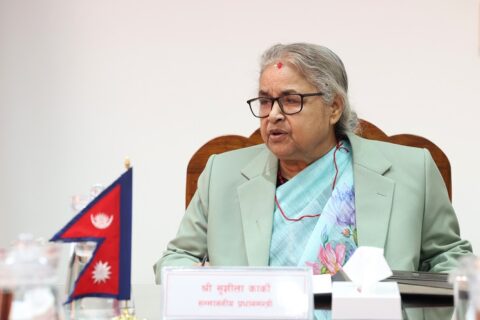 प्रधानमन्त्री कार्कीको निर्देशनः राजनीतिमा लाग्ने मन्त्रीले पद छाड्नुपर्ने