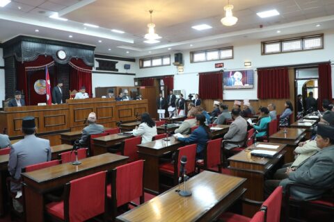 अन्तरिम सरकारका मन्त्री चुनावी मैदानमा उत्रिएका भन्दै सांसदद्वारा आलोचना