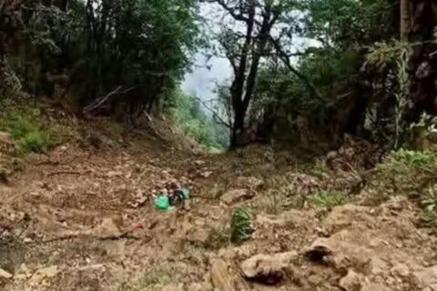 रोल्पामा जिप दुर्घटना, १७ जनाको मृत्यु.