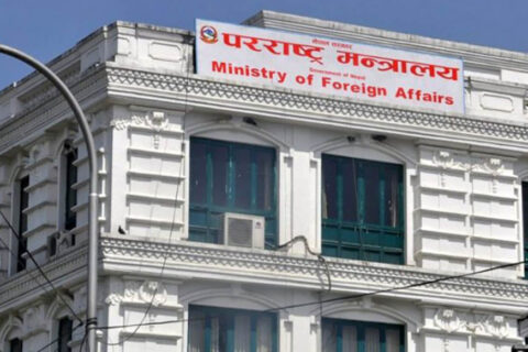 नेपाली चियाको भारत निर्यातको अवरोध हटेको सरकारको दाबी