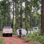शव पहिचानमा समस्या भएपछि डीएनए सुरक्षित राखेर व्यवस्थापन गरिंदै